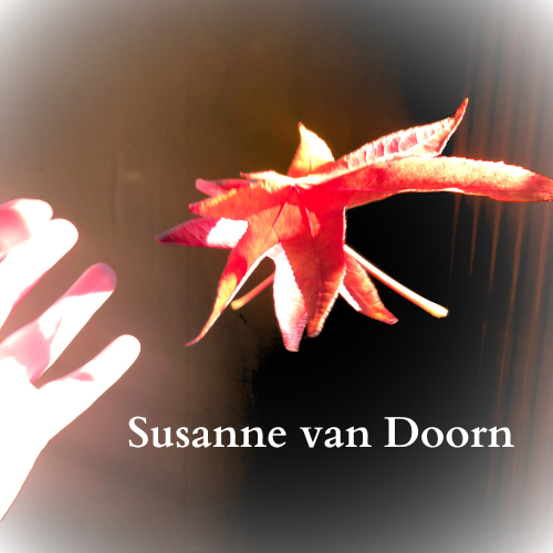 Susanne van Doorn